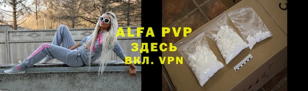 ПСИЛОЦИБИНОВЫЕ ГРИБЫ Переславль-Залесский