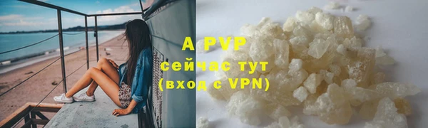 твердый Пересвет