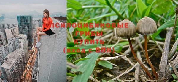 твердый Пересвет