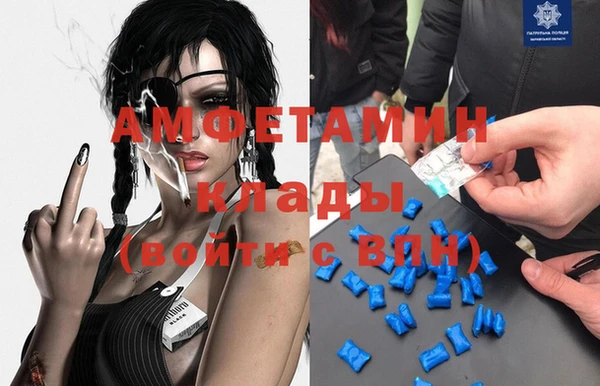 твердый Пересвет