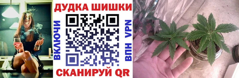 Конопля AK-47  Андреаполь 